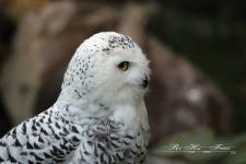 01-Uschi