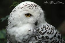 02-Uschi